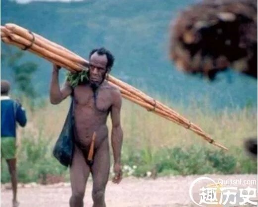 世界最长阴茎的族群：非洲象人族最长56厘米