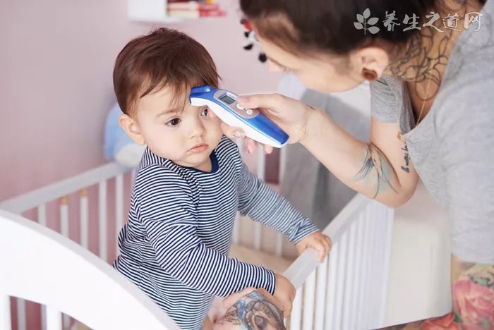 蚕吃什么?不仅仅是桑叶