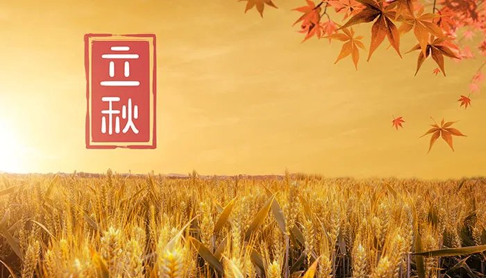 2023年立秋是几点几分几秒 2023年立秋时间