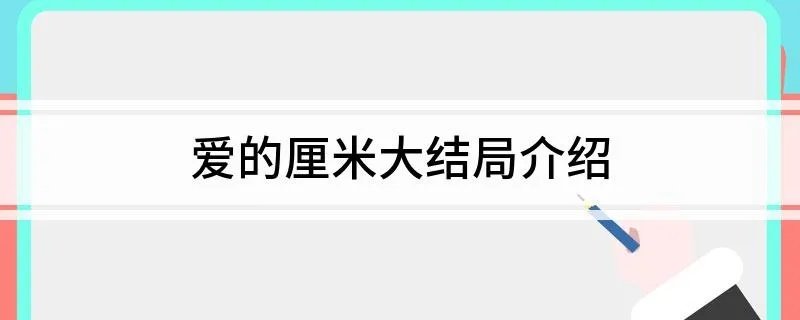 爱的厘米大结局介绍