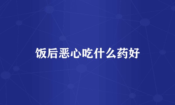 饭后恶心吃什么药好