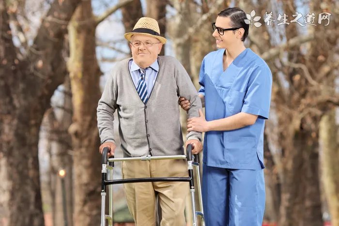 澳乐维他袋鼠精有用吗