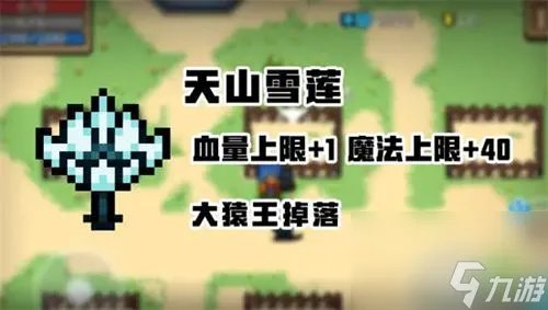 元气骑士天山雪莲怎么获取 元气骑士天山雪莲的效果与功效
