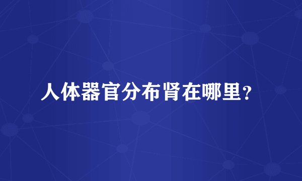 人体器官分布肾在哪里？