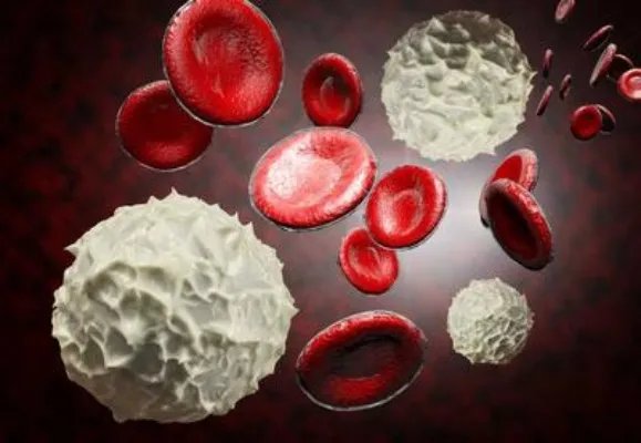 血常规血白细胞偏高怎么回事