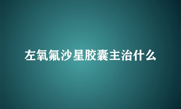 左氧氟沙星胶囊主治什么