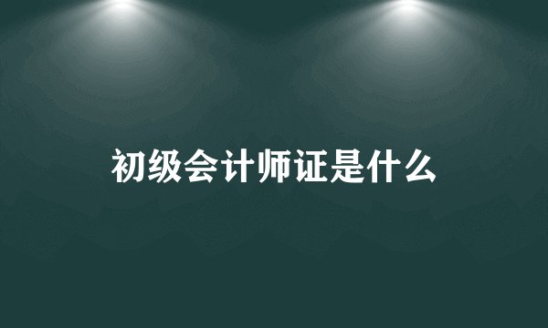 初级会计师证是什么