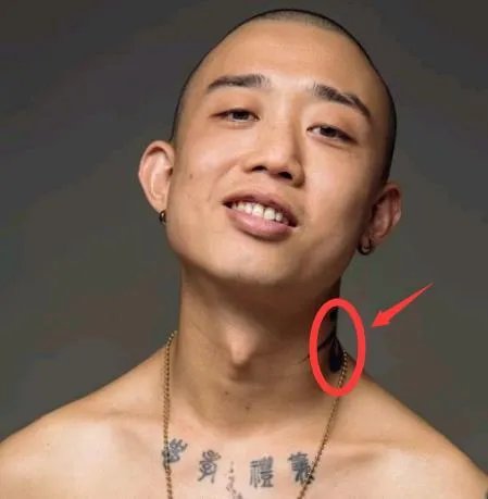 GAI爷为什么退出《我是歌手》？