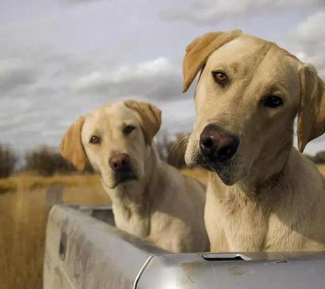 有没有霸气点的头像?