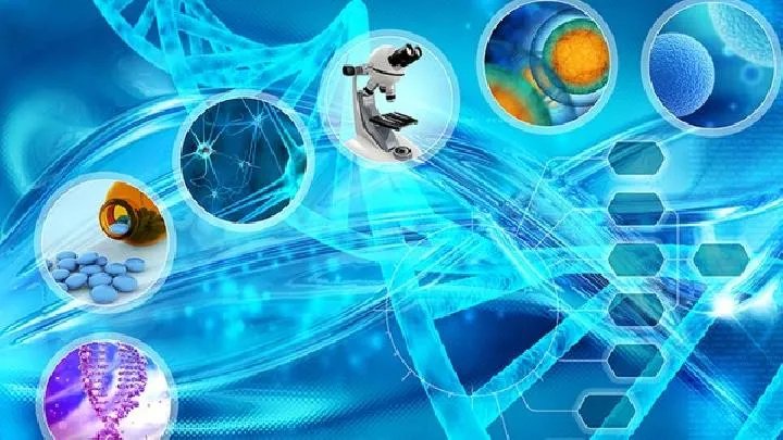 再生障碍性贫血对人体有什么伤害