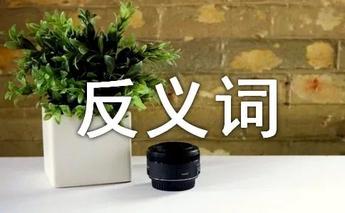 赶紧的反义词是什么