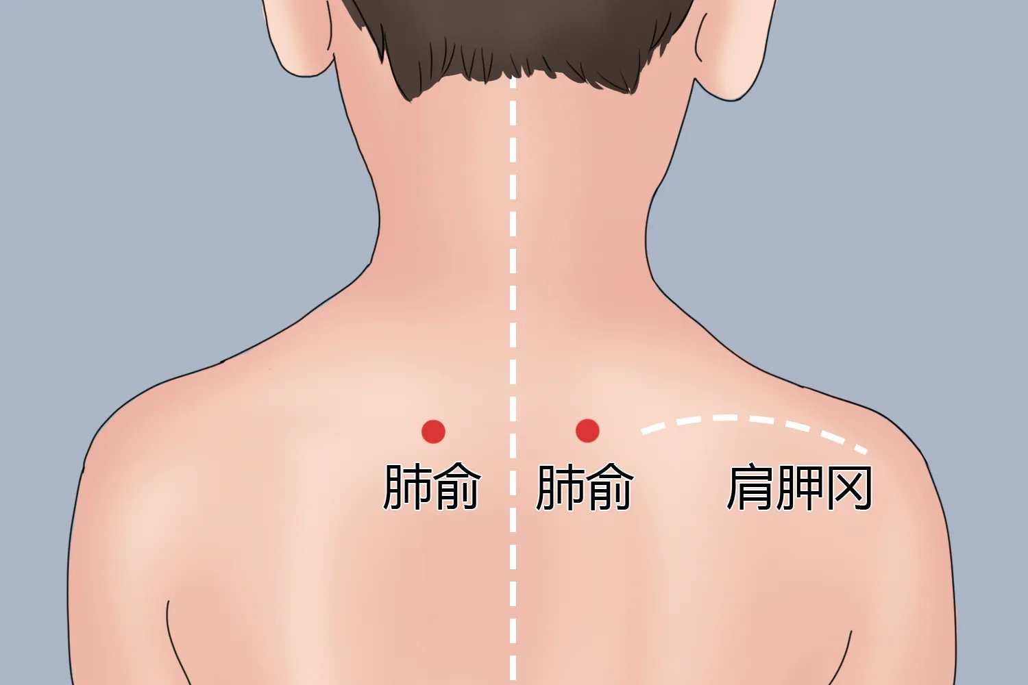 小儿大椎，膻中，肺俞准确位置图