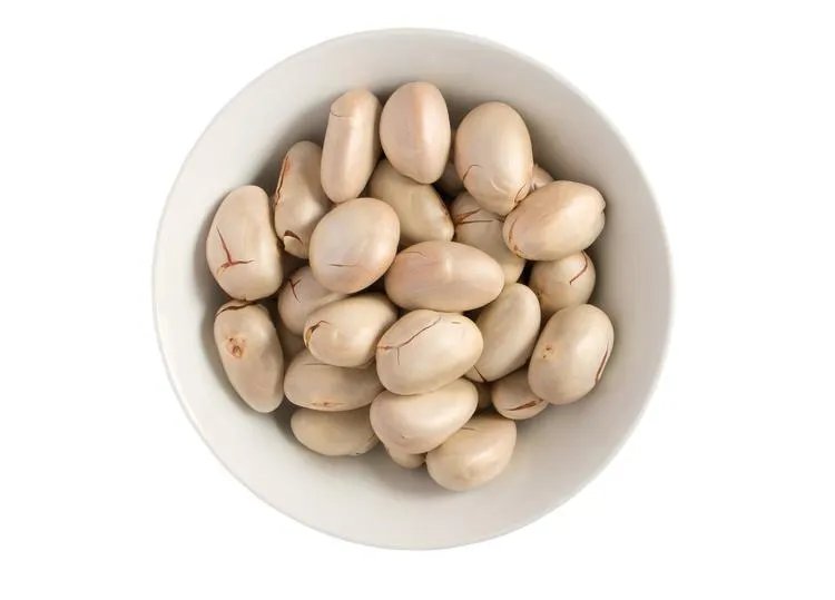 菠萝蜜核的功效与作用