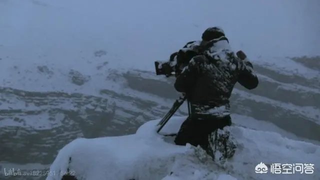 BBC新出的纪录片《大猫》能否超越高口碑《蓝色星球2》?