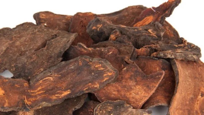 夜交藤的功效与作用及禁忌