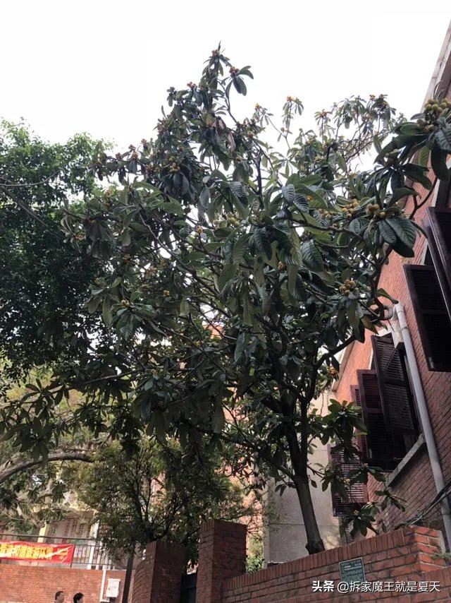 世界上最美的风景图片？