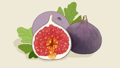 无花果叶的功效与作用是什么