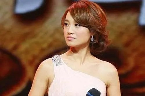 朱丹和伊一同出于浙江卫视，你觉得谁的主持风格更有特色？