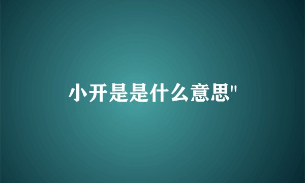 小开是是什么意思