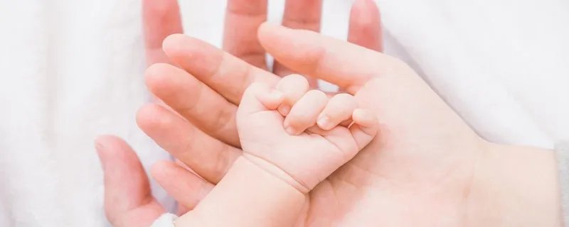 贝贝宝迪是哪个国家的品牌 贝贝宝迪是品牌吗