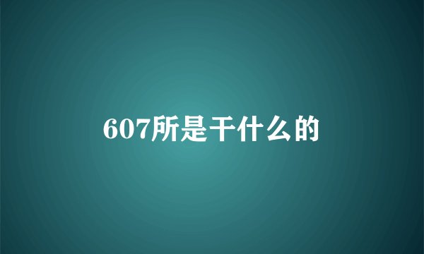 607所是干什么的