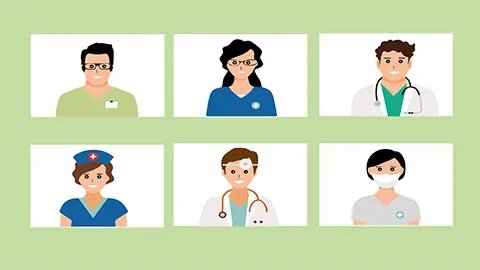 黑蚂蚁的功效与作用