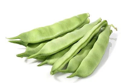 白扁豆图片大全大图
