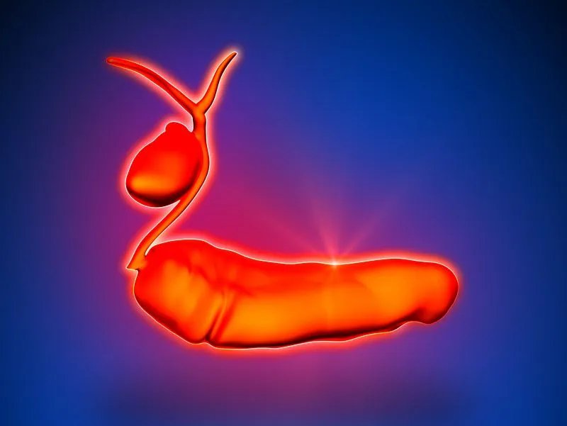 熊胆粉的功效与作用