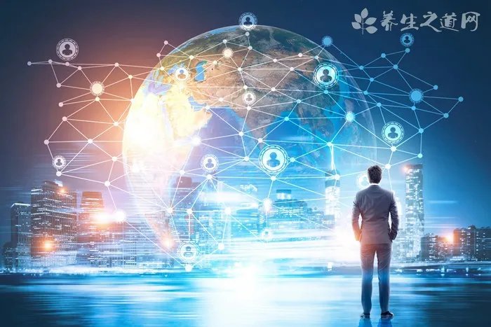 天山雪菊一次泡多少合适 多少钱一斤