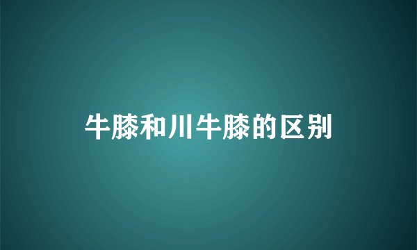 牛膝和川牛膝的区别