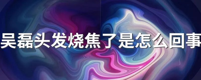 吴磊头发烧焦了是怎么回事 吴磊是怎么把头发烧焦了的