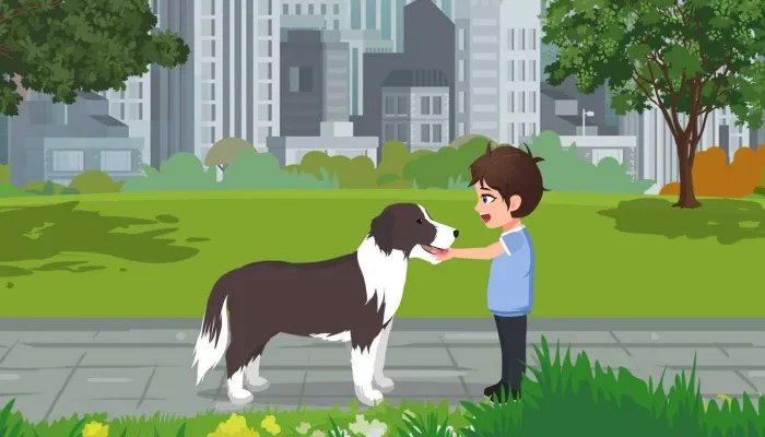 卡西莫多犬的由来