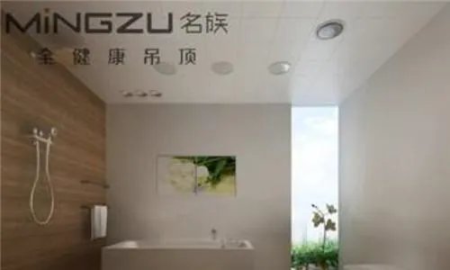 集成吊顶十大品牌排名  集成吊顶哪个牌子好