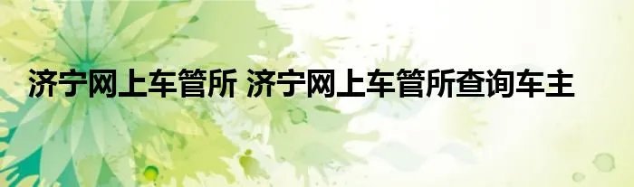 济宁网上车管所 济宁网上车管所查询车主