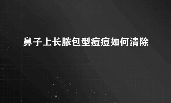 鼻子上长脓包型痘痘如何清除