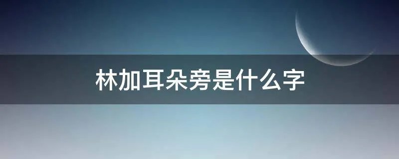林加耳朵旁是什么字