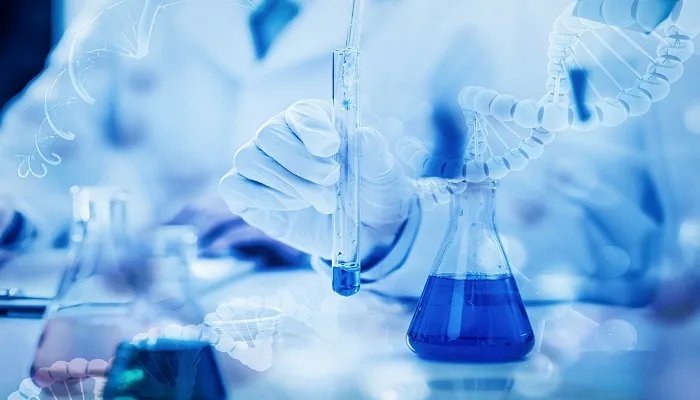 放线菌的形态特征 放线菌的形态特征和结构特征