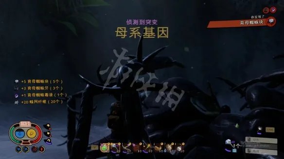 《禁闭求生》育母蜘蛛怎么打？育母蜘蛛打法分享