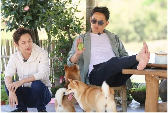 《向往的生活5》是在哪个时间播出?