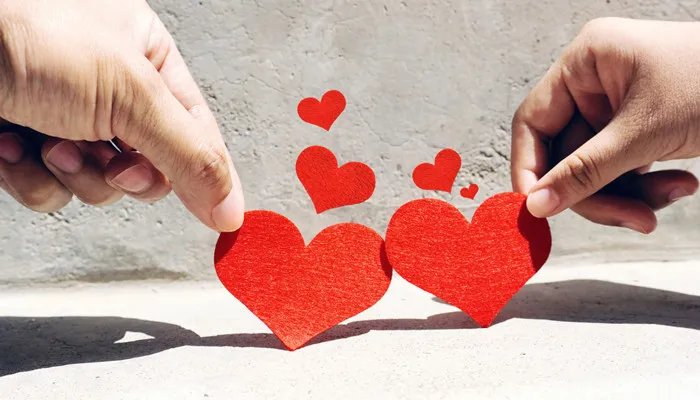 哈尼什么意思 哈尼什么意思哦