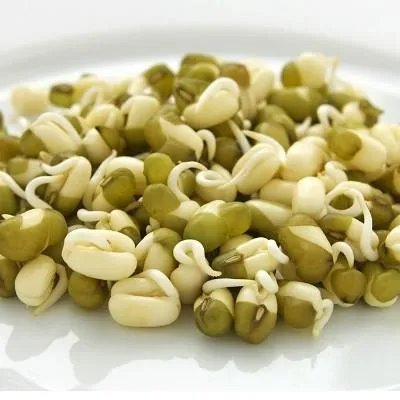 做月子可以吃什么