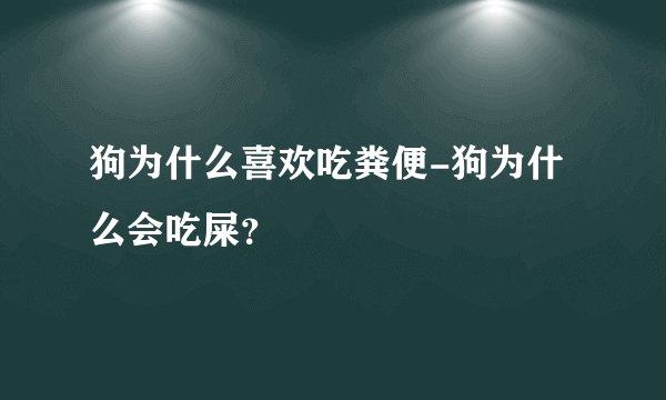 狗为什么喜欢吃粪便-狗为什么会吃屎？