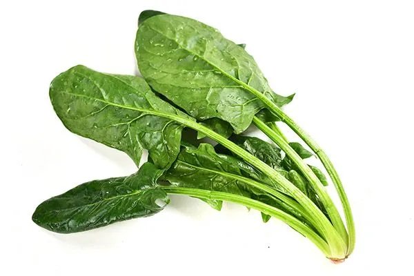 美容护肤的食物有哪些