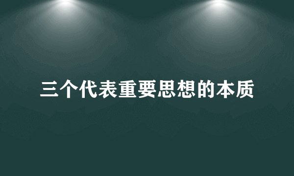 三个代表重要思想的本质