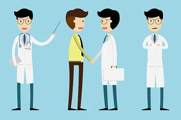 毛冬青的功效与作用