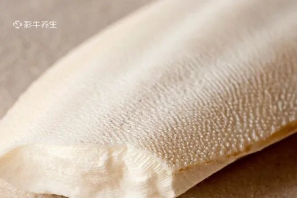 墨鱼骨的功效与作用