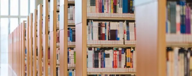 求实是什么意思