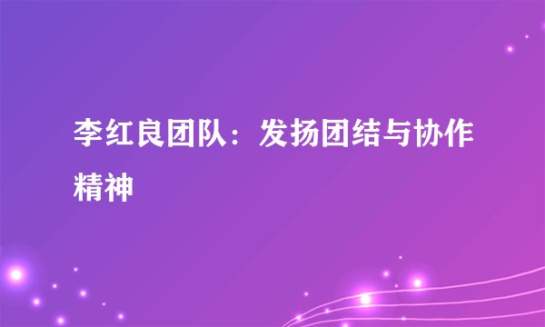 李红良团队：发扬团结与协作精神