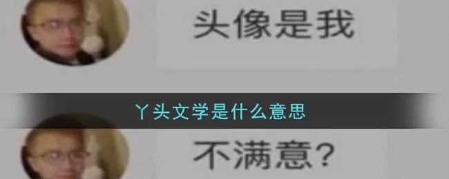 丫头文学是什么意思