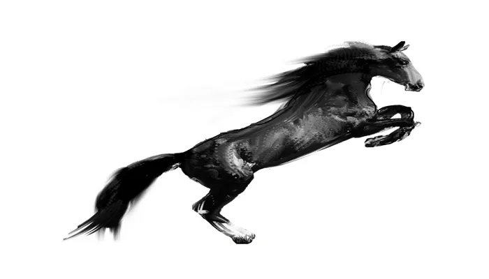 马是怎么睡觉的 马是如何睡觉的